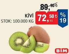 KİVİ KG KİVİ KG